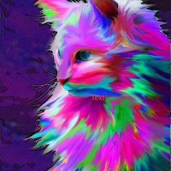 Meow [TAYLiEN Live Intro]