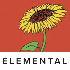 Season 1, Episode 8: SUNFLOWER