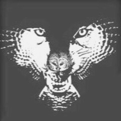 Sai the Wolf x Yin the Savior - Livin' Right (Prod. Nish x Tru Flight)