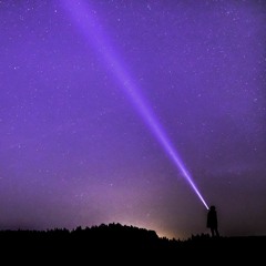 A Violet Impression