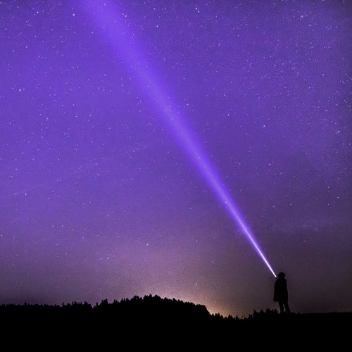 A Violet Impression