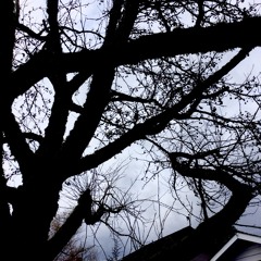 theme for a robot witch probably