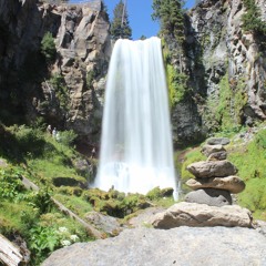 MACE B2B Schnell House Mix. 1