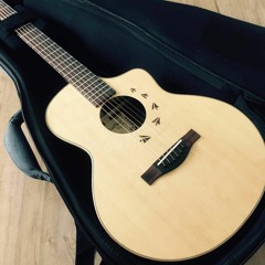 你的行李（cover）-谢震廷