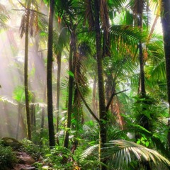 Pure Progressive - Live Stream 04.23.17