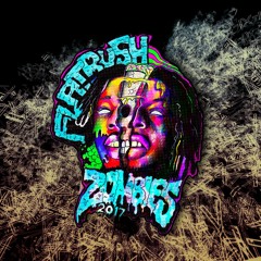 Flatbush Zombies 2017 (SYRESNEKK)