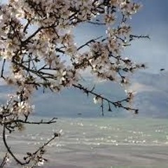 قد أكون في يوم من الأيام أغتبتك ولابد من زلة اللسـآن في نفسي