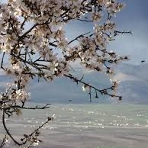 قد أكون في يوم من الأيام أغتبتك ولابد من زلة اللسـآن في نفسي