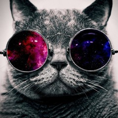 Progressive & Psy Trance | Goa