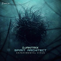 Djantrix & Spirit Architect - Hallucinogenic Battle( preview ) OUT NOW