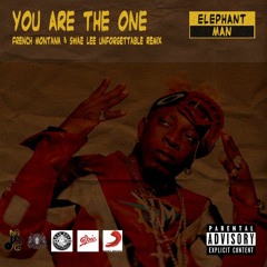 Elephant Man - You Are The One (F Montana & S Lee Unforgettable Remix) (Dancehall Hip-Hop 2017)