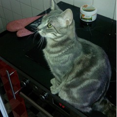 kalter kaffee