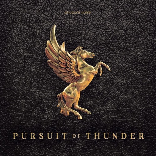 Phuture Noize - Chaos & Order