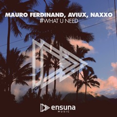 Mauro Ferdinand, Aviux, Naxxo - What U Need (OUT NOW)