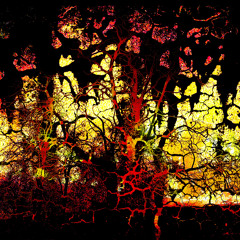 Lukann - Lords Of Cinder