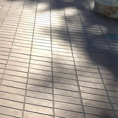 Sérénité matinale