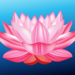 Lotus Flower
