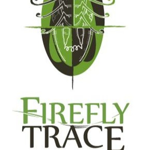 FireflyTrace - Blank Line (Instrumental)