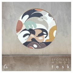 PREMIERE : TESK - Moods [Chillhop Records]