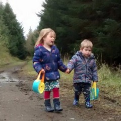 3. Blanemore Forest Archaeological Walk Stop 3 Standing Stone