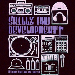 Dj Funky Nice Aka Mr Funky'N - Skillz And Development