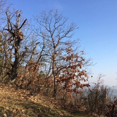 A ballad for all the women