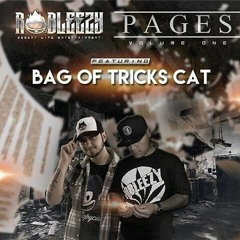 16. "No Pressure" Robleezy x Bag Of Tricks Cat x Maggs