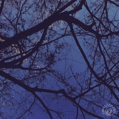 PCYBOY [Prod. DJBeniG]