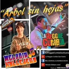 Melodía Callejera Ft La Reggae Cumbia - Árbol Sin Hojas [Single Abril 2017]