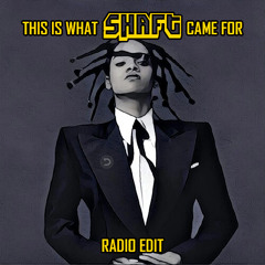 This Is What Shaft Came For (Radio Edit)