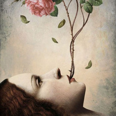 4 kitabın manası var ise