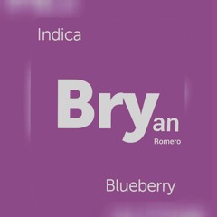 BlueBerry - Bryan Romero (Original Mix)