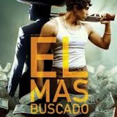 MEXICAN GANGSTER. Busqueda