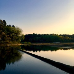 YACHIMATA_170424
