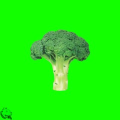 snuggles - Broccoli