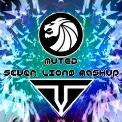 Seven Lions Mashup