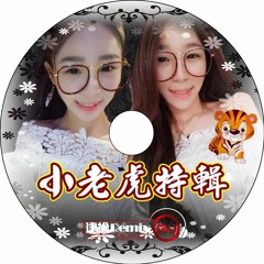 小老虎特輯【2017 DJ建綸 Jianlun 中文重節奏串搭】