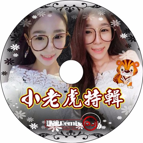 小老虎特輯【2017 DJ建綸 Jianlun 中文重節奏串搭】