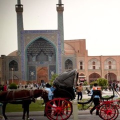شاخه های این درخت کهن دوشنبه ۴ اردیبهشت