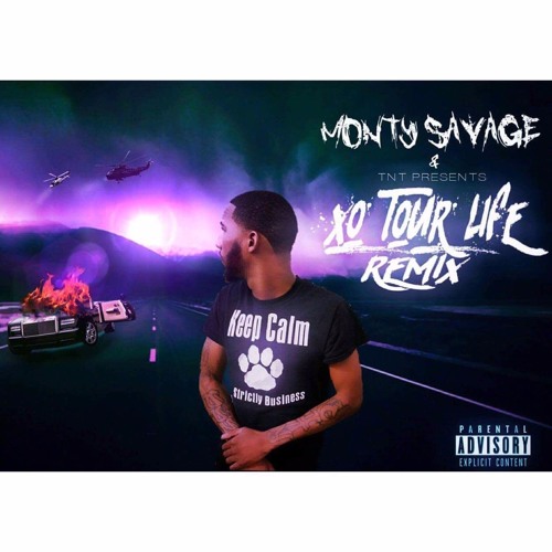 Stream XO Tour Life Rmx by Monty Savage Listen online for free on