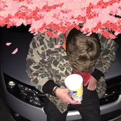 *CHERRY+BLOSSOMS*