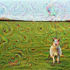 Random Slopes 7