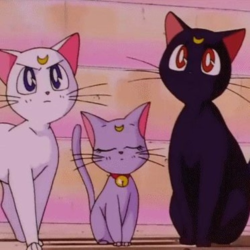 w a v e s
