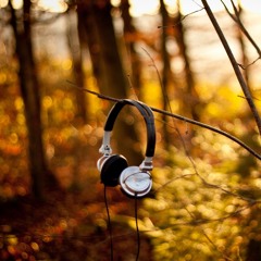 Audiophilliac 6 Sunrise