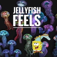 Jellyfish Feels