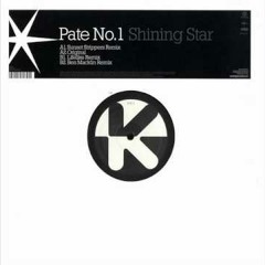 Pate No.1 - Shining star (Lifelike remix)