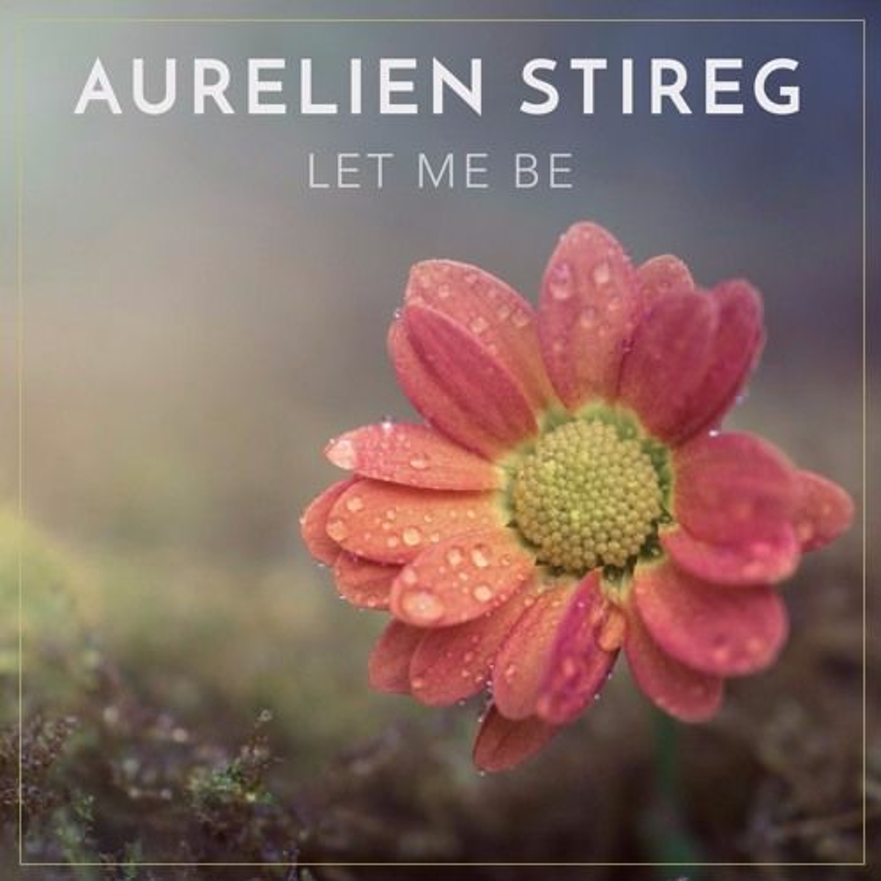 Aurelien Stireg
