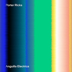 Porter Ricks – Shoal Beat
