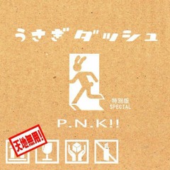 P.N.K!!_天地無用_特別版