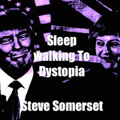 Sleepwalking To Dystopia - Steve Somerset